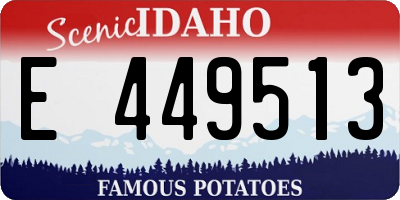 ID license plate E449513