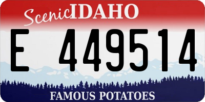 ID license plate E449514