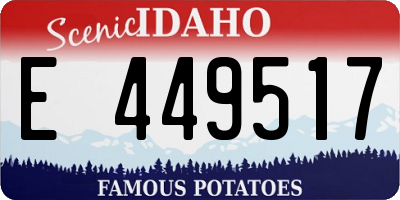 ID license plate E449517