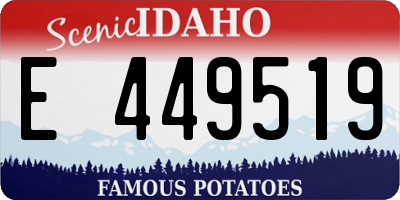 ID license plate E449519