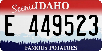 ID license plate E449523