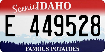 ID license plate E449528