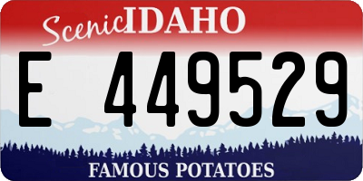 ID license plate E449529