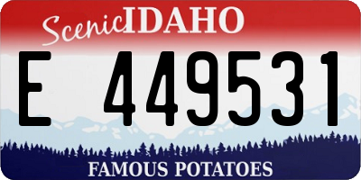 ID license plate E449531