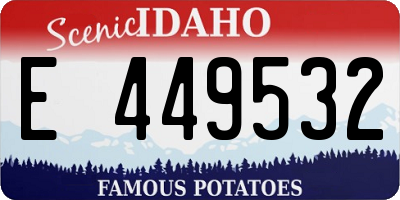 ID license plate E449532