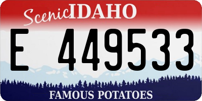 ID license plate E449533