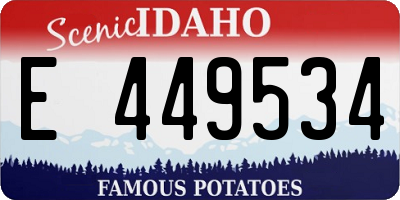 ID license plate E449534