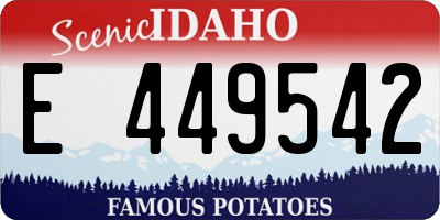 ID license plate E449542