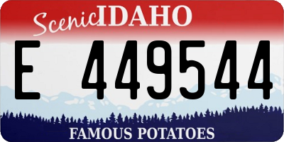 ID license plate E449544