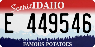 ID license plate E449546
