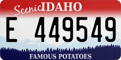 ID license plate E449549