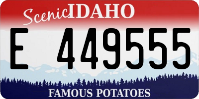 ID license plate E449555