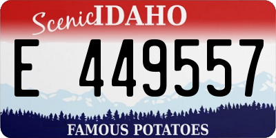 ID license plate E449557