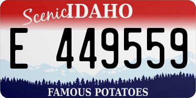 ID license plate E449559