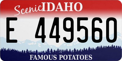 ID license plate E449560