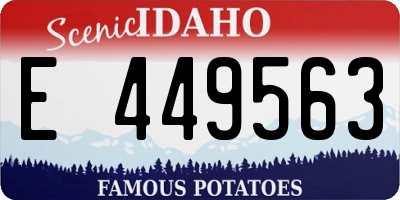 ID license plate E449563