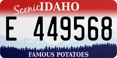 ID license plate E449568