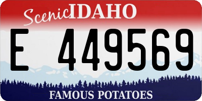 ID license plate E449569