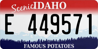 ID license plate E449571