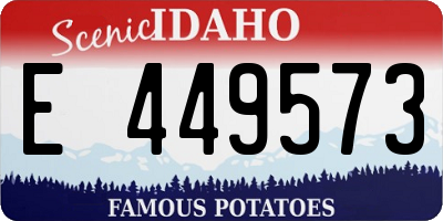 ID license plate E449573