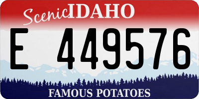 ID license plate E449576