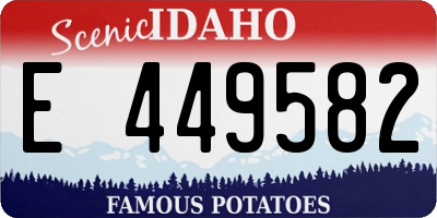 ID license plate E449582