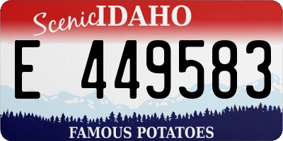 ID license plate E449583