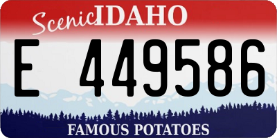 ID license plate E449586