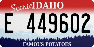 ID license plate E449602