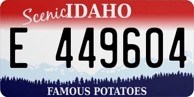 ID license plate E449604