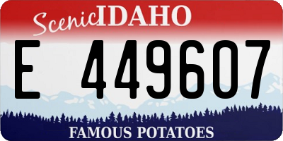 ID license plate E449607