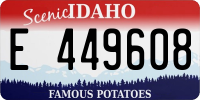 ID license plate E449608