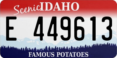 ID license plate E449613