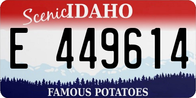 ID license plate E449614
