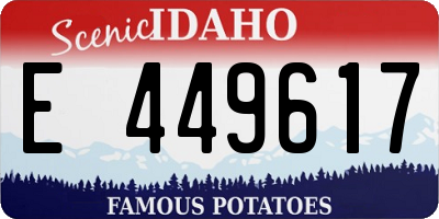 ID license plate E449617