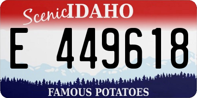 ID license plate E449618