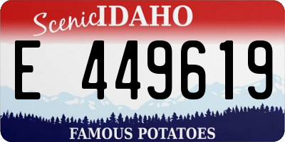 ID license plate E449619