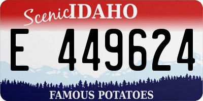 ID license plate E449624