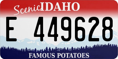 ID license plate E449628