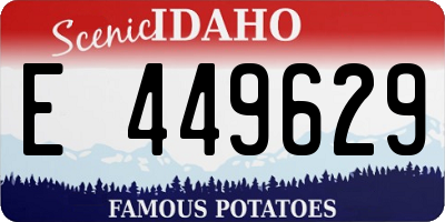 ID license plate E449629