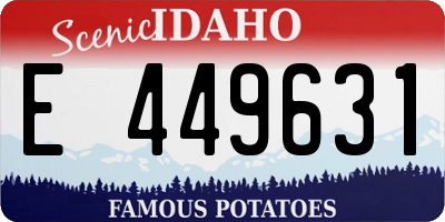 ID license plate E449631