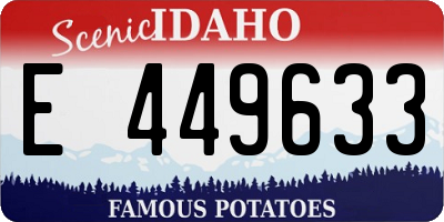 ID license plate E449633