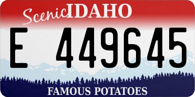ID license plate E449645