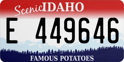 ID license plate E449646