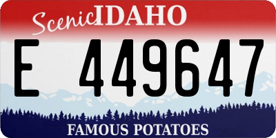 ID license plate E449647
