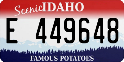 ID license plate E449648