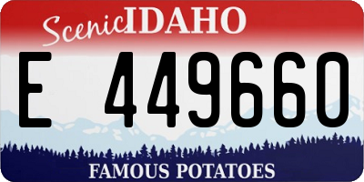 ID license plate E449660