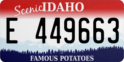 ID license plate E449663