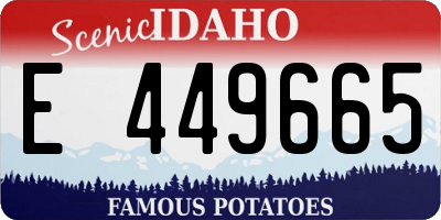 ID license plate E449665