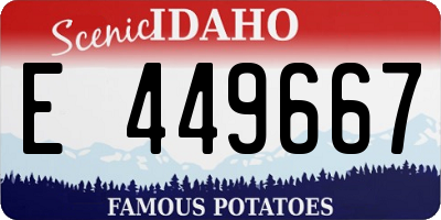 ID license plate E449667